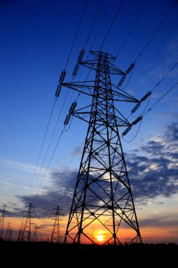 Utility security seals